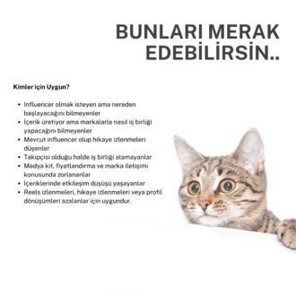 Influencer Strateji Danışmanlığı