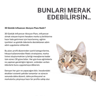 Influencer Strateji Danışmanlığı