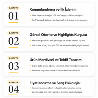 VIP Mentörlük