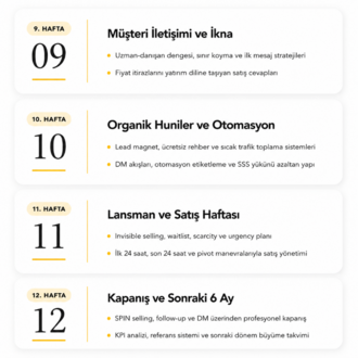 VIP Mentörlük