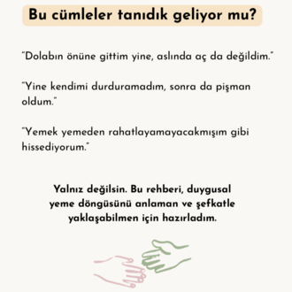 DUYGUSAL YEMEYİ ANLAMAK