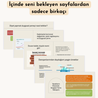 DUYGUSAL YEMEYİ ANLAMAK