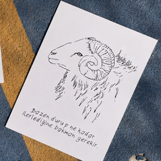 2'li Kartpostal Seti "Koç" – "Mürekkep" Serisi