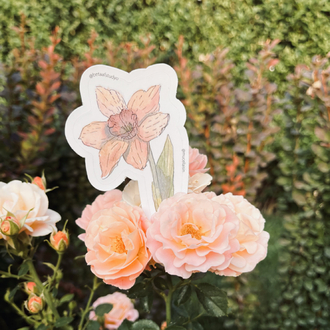 Watercolor Flower Sticker Pack - 4’lü Sticker Seti