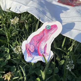 Orta Boy Tekli Sticker - Kurbağa