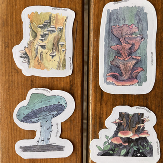 Watercolor Mushroom Sticker Pack - 4’lü Sticker Seti