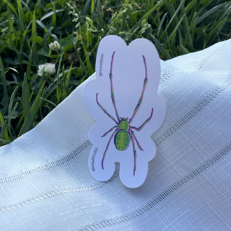Küçük Boy Tekli Sticker - Örümcek 1