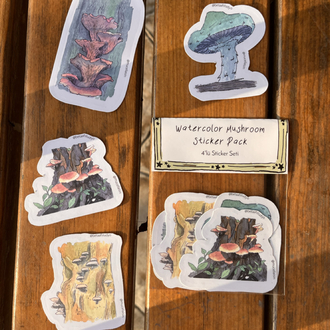 Watercolor Mushroom Sticker Pack - 4’lü Sticker Seti