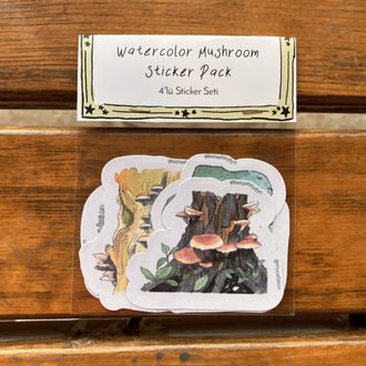 Watercolor Mushroom Sticker Pack - 4’lü Sticker Seti