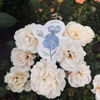 Watercolor Flower Sticker Pack - 4’lü Sticker Seti