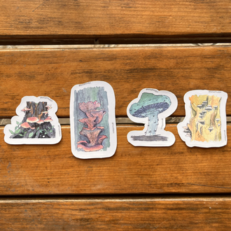 Watercolor Mushroom Sticker Pack - 4’lü Sticker Seti