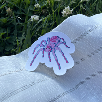 Küçük Boy Tekli Sticker - Örümcek 2
