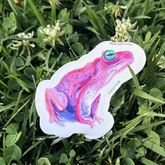 Orta Boy Tekli Sticker - Kurbağa