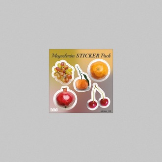 Meyveler Sticker Pack | Dekoratif Meyve Sticker Seti (10x10 cm)