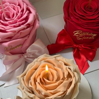 Red Rose 