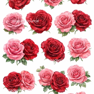 Flowers 02