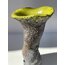 Vase5
