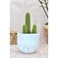 Kahverengi Terrazzo Oval Tabanlı Saksı