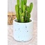 Kahverengi Terrazzo Saksı