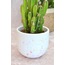 Renkli Terrazzo Oval Tabanlı Saksı