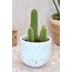 Kahverengi Terrazzo Oval Tabanlı Saksı