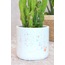 Renkli Terrazzo Saksı