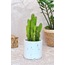 Kahverengi Terrazzo Saksı