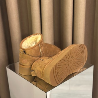 Ugg Bot Taba