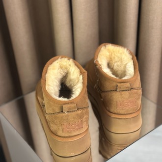 Ugg Bot Taba