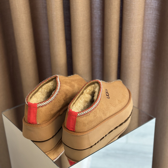 Ugg Tazz Taba