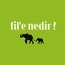 fil'e nedir ?