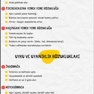 ÇOCUK RUH SAĞLIĞI KONU ANLATIM FASİKÜLÜ (2026)