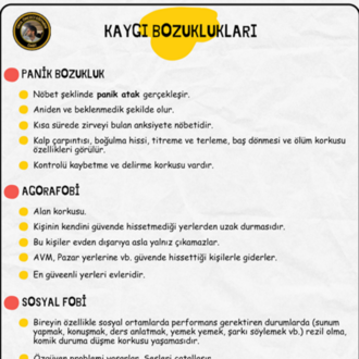 ÇOCUK RUH SAĞLIĞI KONU ANLATIM FASİKÜLÜ (2026)