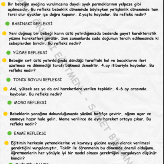 OKUL ÖNCESİ ÖABT 300 ADET SORU ve CEVAP NOTU (2026)