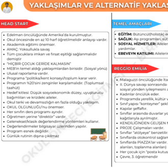 YAKLAŞIMLAR ve ALTERNATİF YAKLAŞIMLAR KONU ANLATIM FASİKÜLÜ (2027)