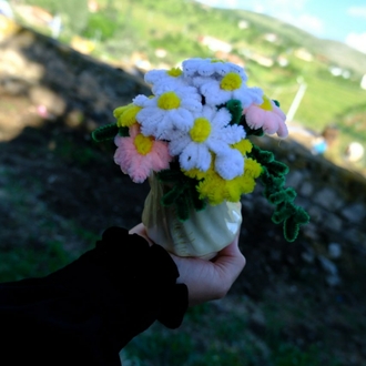Papatya (şönil)