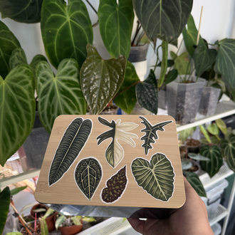 Plant Sticker Set