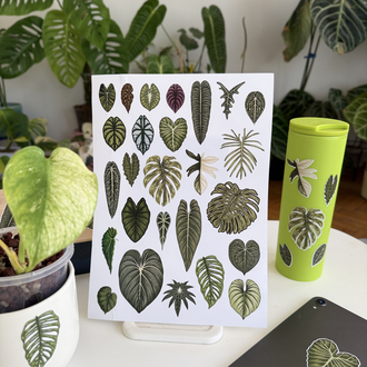 Plant Sticker Set
