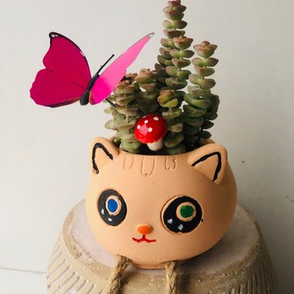 Kedi Seramik Saksıda Kaktüs Aranjman
