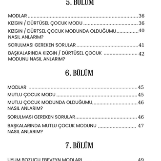 İçimdeki Yaralı Çocuk Dijital E-Kitap 