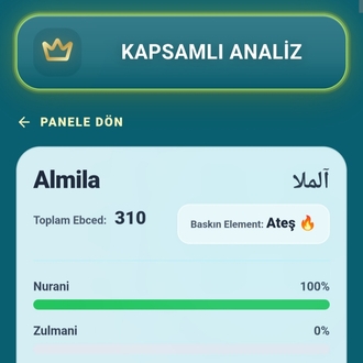 3 Aylık Web Aboneliği EBCED İle İsim Analizi