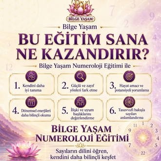 Numeroloji Eğitimi