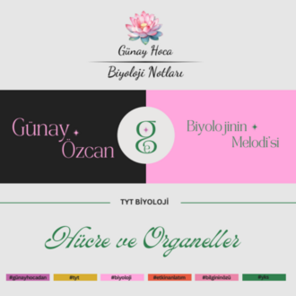 GÜNAY HOCA DERS NOTLARI / HÜCRE VE ORGANELLER (PDF)
