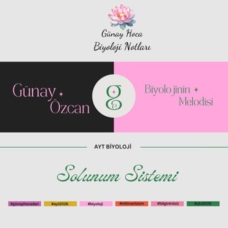 GÜNAY HOCA DERS NOTLARI/SOLUNUM SİSTEMİ AYT(PDF)