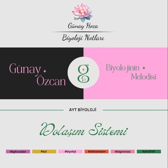 GÜNAY HOCA DERS NOTLARI / DOLAŞIM SİSTEMİ (PDF)