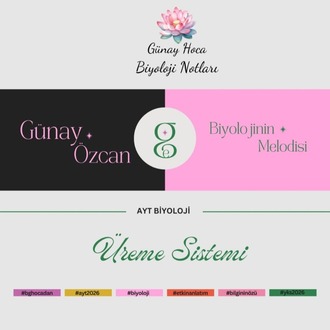 GÜNAY HOCA DERS NOTLARI / ÜREME SİSTEMİ (PDF)