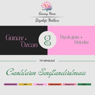 GÜNAY HOCA DERS NOTLARI / SINIFLANDIRMA (PDF)