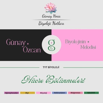 GÜNAY HOCA DERS NOTLARI / HÜCRE BÖLÜNMELERİ (PDF)