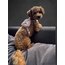Luna Köpek Çantası 
