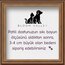 Lily Köpek Kolyesi 